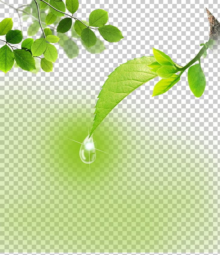 Icon PNG, Clipart, Autumn Leaves, Branch, Computer Wallpaper, Cursor, Download Free PNG Download
