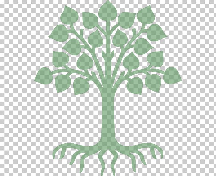 Plant Stem Flower Genealogy PNG, Clipart, Branch, Business, Drawing, Family, Flora Free PNG Download