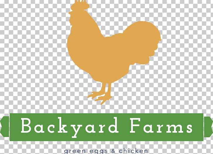 Rooster Chicken Logo Farm Livestock PNG, Clipart, Animals, Apiary, Backyard, Backyard Farms, Beak Free PNG Download