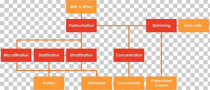 Skimmed Milk Cream Whey Ultrafiltered Milk PNG, Clipart, Angle, Area, Brand, Cream, Dairy Farming Free PNG Download
