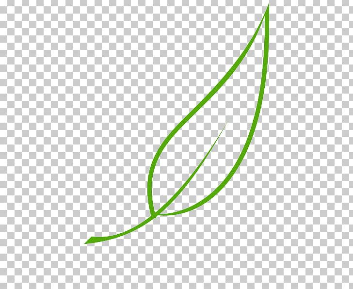 Leaf Paper Tree Drawing PNG, Clipart, Angle, Color, Coloring Book, Daun, Drawing Free PNG Download