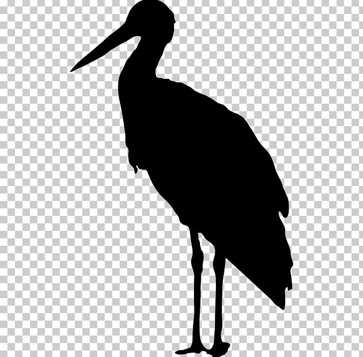 Bird Silhouette PNG, Clipart, Beak, Bird, Black And White, Ciconia, Ciconiiformes Free PNG Download