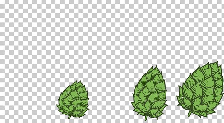 Colorado Springs Microbrewery Tree Fruit PNG, Clipart, Brewery, Colorado Springs, Fruit, Microbrewery, Nature Free PNG Download