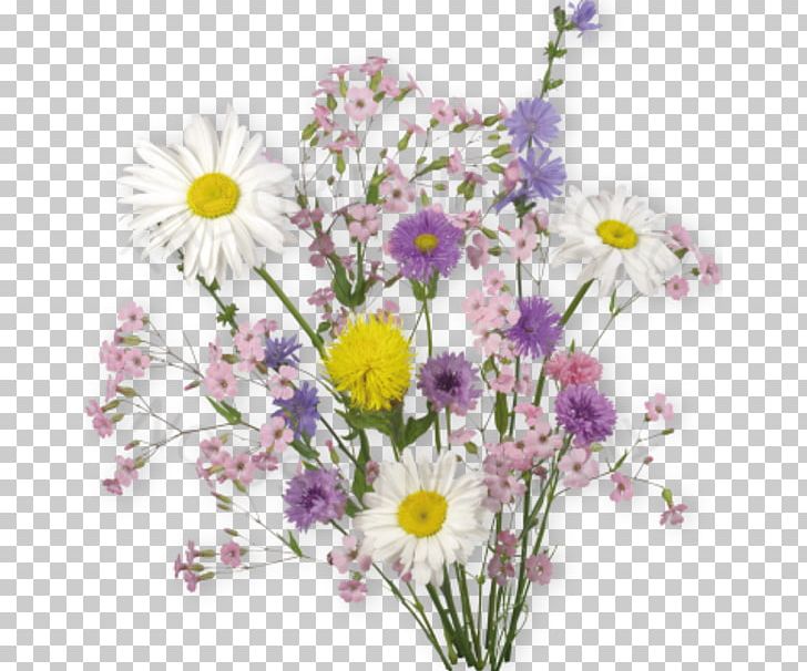 Desktop Flower Ultra-high-definition Television PNG, Clipart, 4k Resolution, 1080p, Annual Plant, Artificial Flower, Aster Free PNG Download
