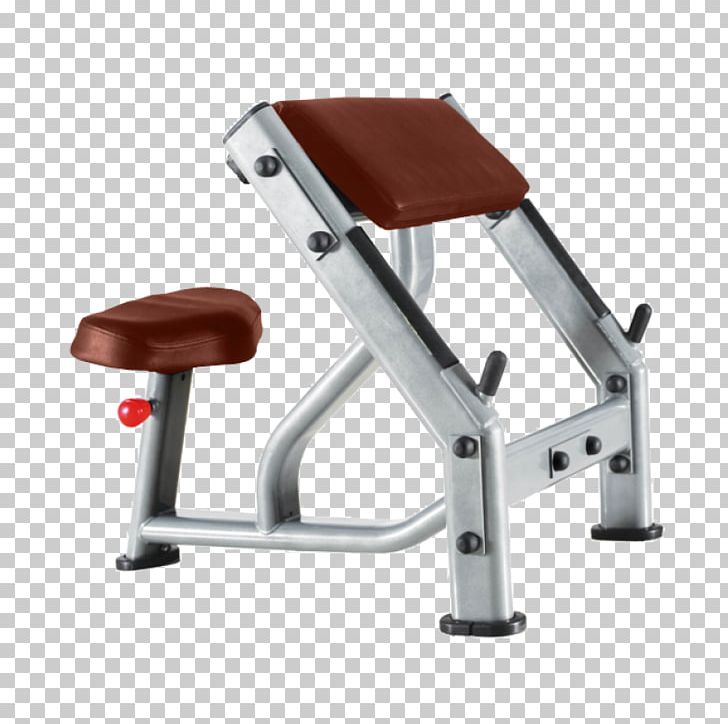 Exercise Machine Sport Biceps Curl Fitness Centre PNG, Clipart, Angle, Bench, Biceps Curl, Bronze Gym, Crunch Free PNG Download