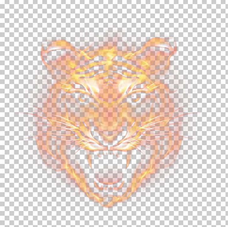 Tiger Euclidean Icon PNG, Clipart, Adobe Illustrator, Animals, Attempting, Big Cats, Black Tiger Free PNG Download