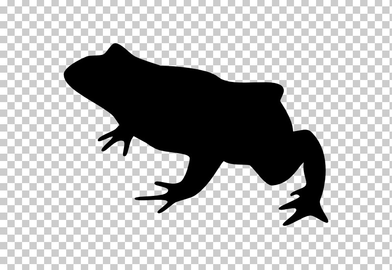 Frog Silhouette Toad PNG, Clipart, Frog, Silhouette, Toad Free PNG Download