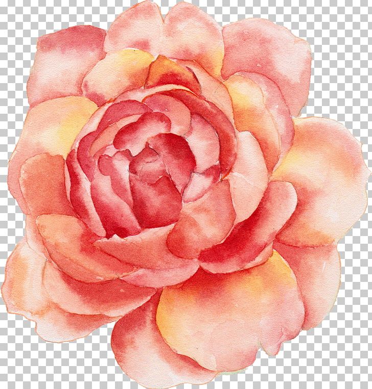 Calendar Flower Printing Canvas Print PNG, Clipart, Begonia, Camellia, Canvas, Cut Flowers, Floribunda Free PNG Download