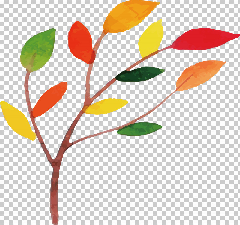 Floral Design PNG, Clipart, Biology, Colorful Leaf, Floral Design, Flower, Leaf Free PNG Download