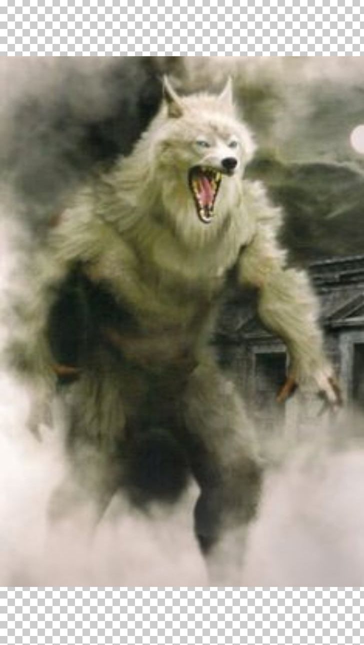 Werewolf Vampire Fantasy Film Myth PNG, Clipart, Art, Dark Fantasy, Distemper, Fantasy, Film Free PNG Download