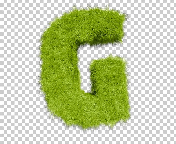 Worcestershire Marketing Fur All Things Digital Creativity PNG, Clipart, All Things Digital, Creativity, Fur, Grass, Green Free PNG Download