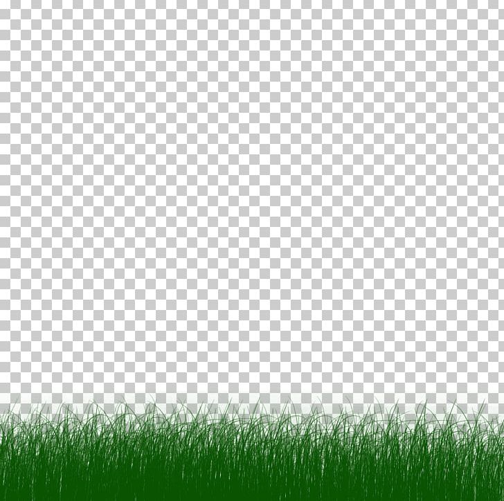 Animation Lawn PNG, Clipart, Animation, Animonsta Studios, Blog, Boboiboy, Cartoon Free PNG Download
