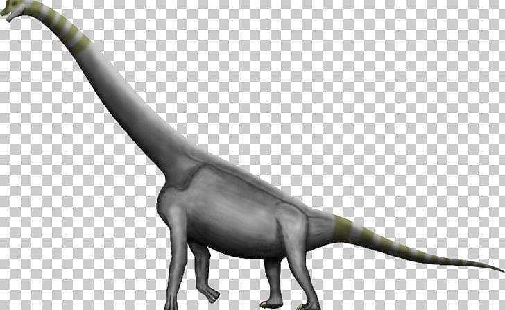 Brachiosaurus Argentinosaurus Dinosaur Size Amphicoelias Morrison Formation PNG, Clipart, Allosaurus, Animal Figure, Argentinosaurus, Brachiosaurus, Dinosaur Free PNG Download
