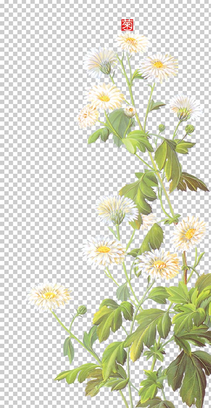 Daisy Background Material PNG, Clipart, Branch, Chrysanthemum, Chrysanthemum Material, Computer Icons, Encapsulated Postscript Free PNG Download
