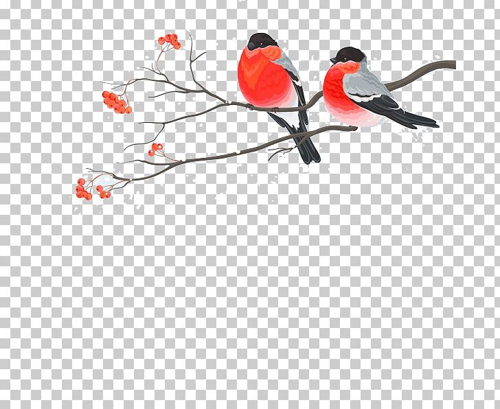 Painting Birds PNG, Clipart, Bird, Bird Cage, Branch, Cardinal, Cartoon Free PNG Download