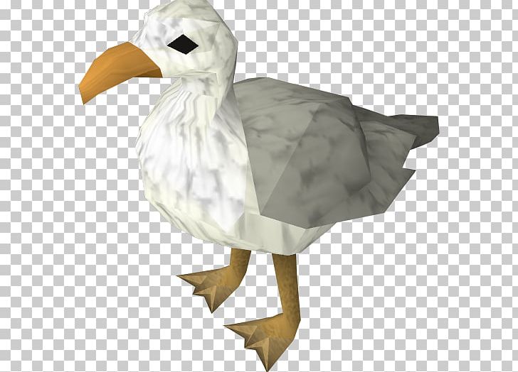 RuneScape Bird Gulls Goose Duck PNG, Clipart, Animal, Animals, Beak, Bird, Duck Free PNG Download