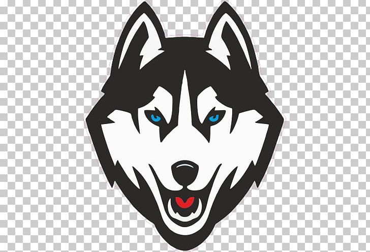 University Of Connecticut Connecticut Huskies Women's Basketball Connecticut Huskies Men's Basketball Connecticut Huskies Baseball Connecticut Huskies Football PNG, Clipart,  Free PNG Download
