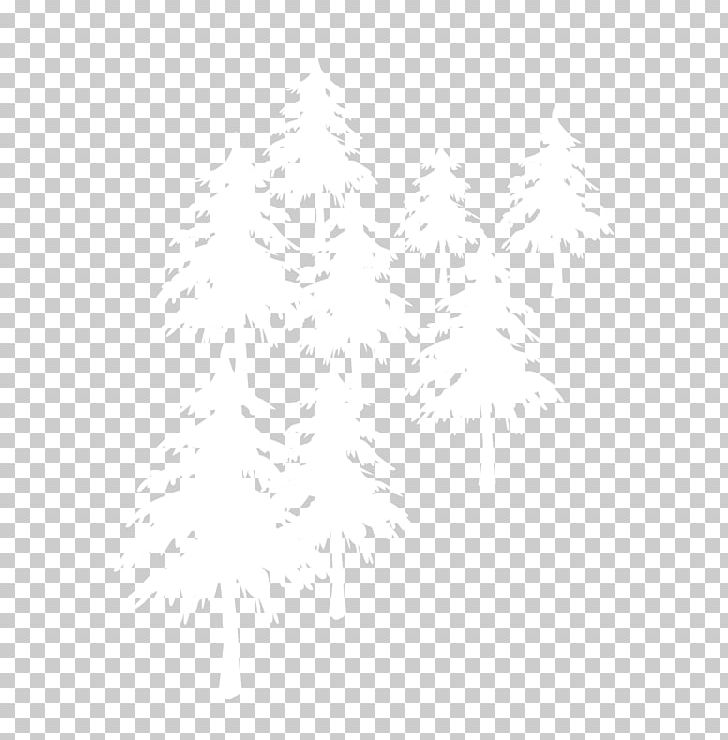 White Black Angle Pattern PNG, Clipart, Angle, Area, Black, Black And White, Christmas Tree Free PNG Download