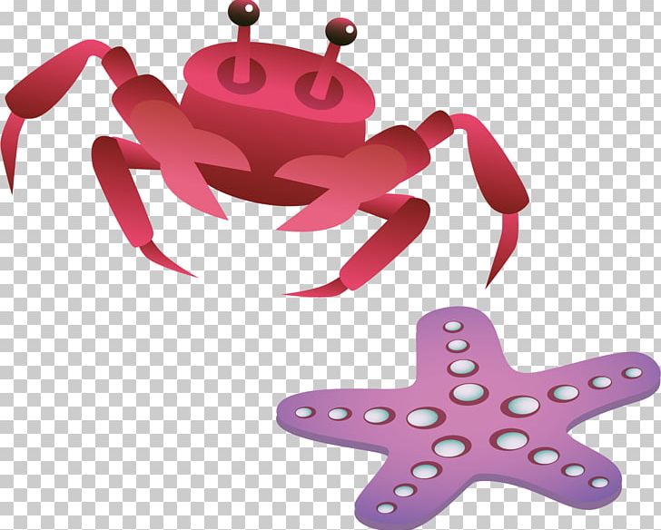 Starfish Illustration PNG, Clipart, Animals, Crab, Crab Vector, Download, Euclidean Vector Free PNG Download