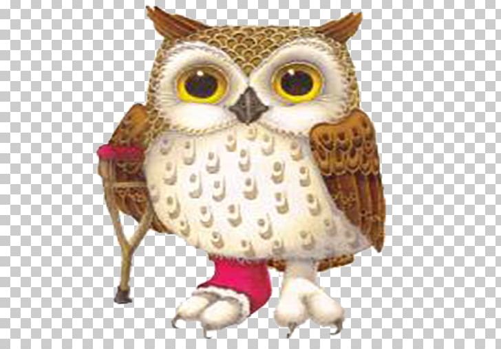 Owl PNG, Clipart, Animals, App, App Icon, Bird, Bird Of Prey Free PNG Download