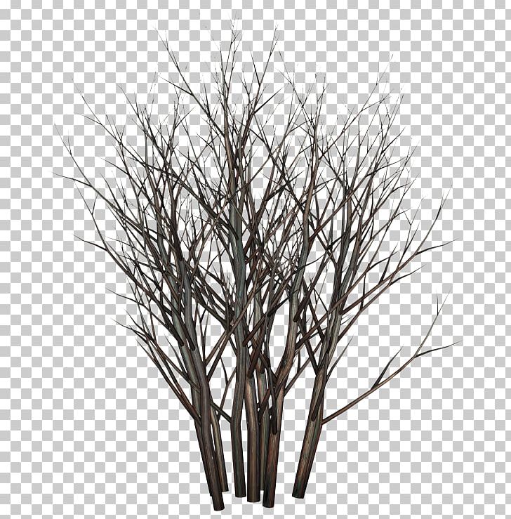 Twig Tree Planting Shrub PNG, Clipart, Artlantis, Black And White, Branch, Destiny, Download Free PNG Download