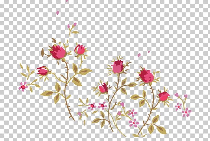 Floral Design Thorns PNG, Clipart, Beach Rose, Blossom, Branch, Cherry Blossom, Computer Icons Free PNG Download