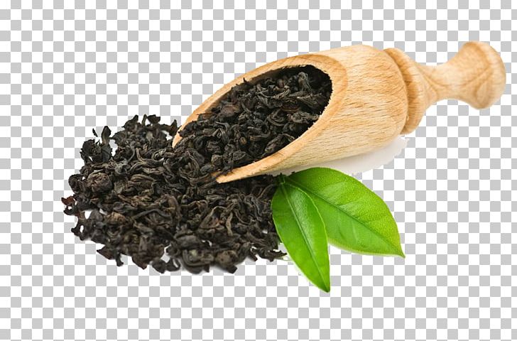 Green Tea Oolong Boston Tea Party Tea Culture PNG, Clipart, Assam Tea, Boston Tea Party, Ceylon Tea, Copy1, Drink Free PNG Download