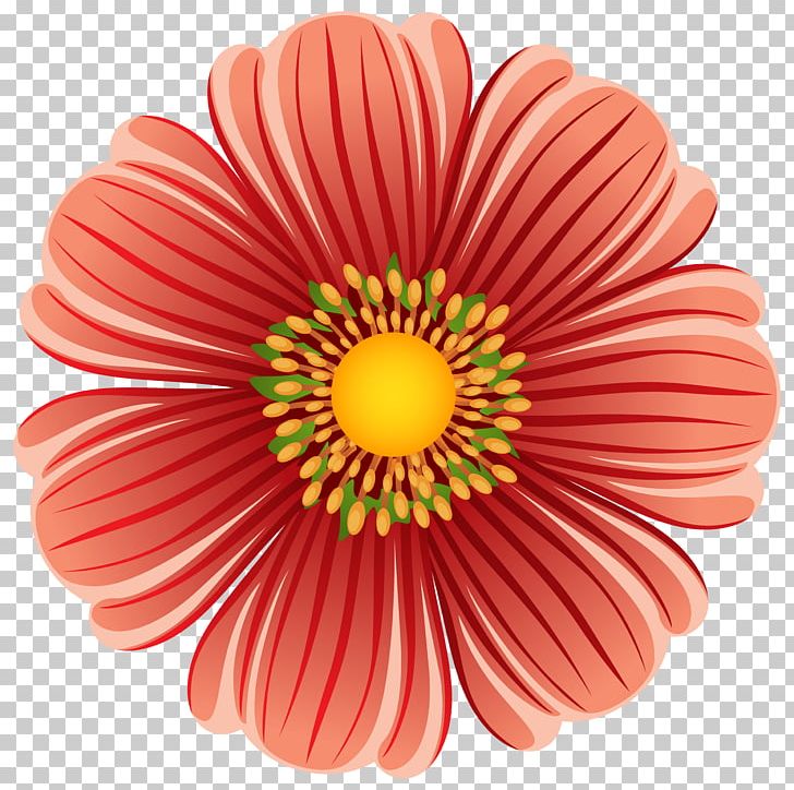 Flower PNG, Clipart, Color, Cut Flowers, Daisy, Daisy Family, Flower Free PNG Download