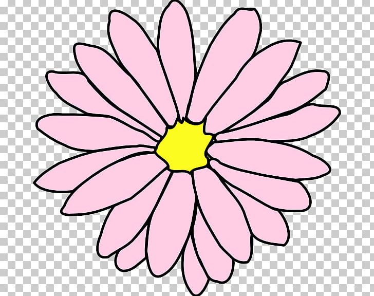 Flower Common Daisy Drawing Outline PNG, Clipart, Artwork, Chrysanths, Clip Art, Color, Common Daisy Free PNG Download