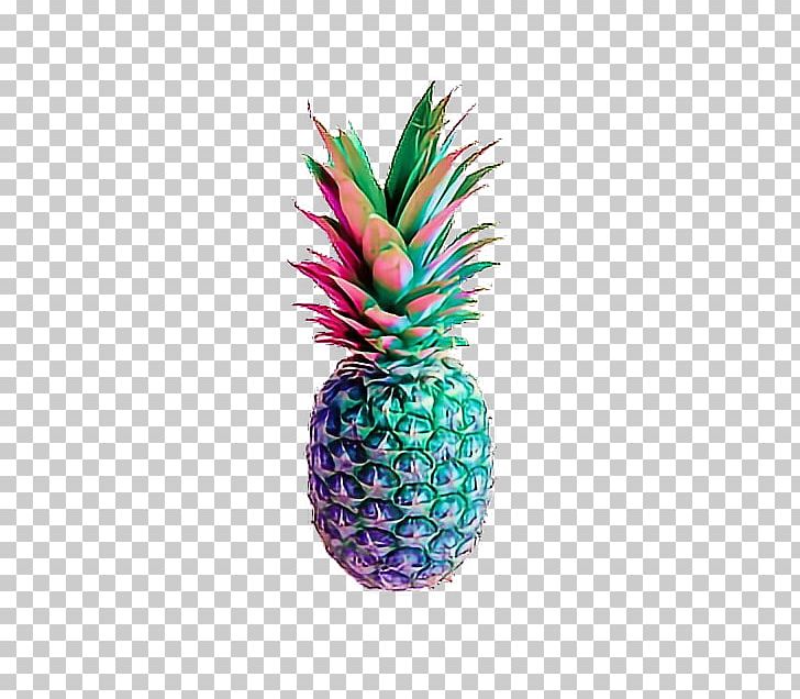 Pineapple Cake Pizza Pink PNG, Clipart, Ananas, Bromeliaceae, Bromeliads, Desktop Wallpaper, Flowering Plant Free PNG Download