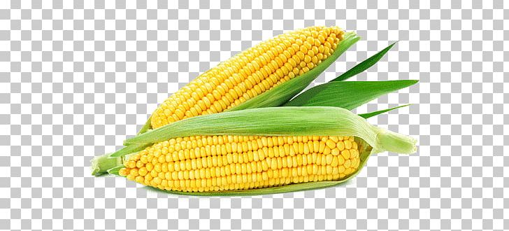Corn On The Cob Maize Corncob Sweet Corn Corn Kernel PNG, Clipart, Cereal, Commodity, Corncob, Corn Flakes, Corn Kernel Free PNG Download