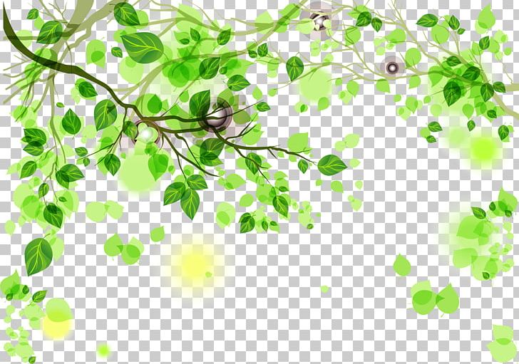 Green PNG, Clipart, Art, Background Vector, Branch, Color, Encapsulated Postscript Free PNG Download