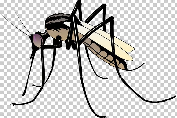 Mosquito PNG, Clipart, Arthropod, Artwork, Background Butterfly, Clip Art, Desktop Wallpaper Free PNG Download