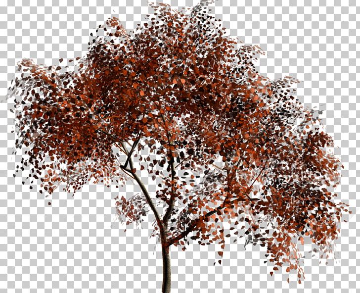 Tree Forest Material PNG, Clipart, Branch, Chinoiserie, Clothing, Exxonmobil, Forest Free PNG Download