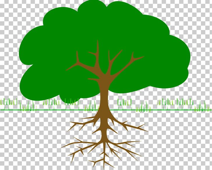 Tree Of 40 Fruit PNG, Clipart, Bio, Branch, Computer Icons, Download, Drawing Free PNG Download