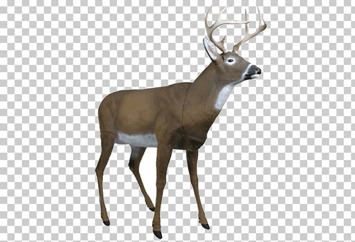 White-tailed Deer Decoy Hunting Game Call PNG, Clipart, Animals, Antler, Biggame Hunting, Bowhunting, Dear Free PNG Download