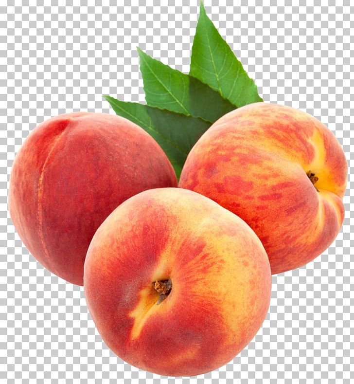 Peach PNG, Clipart, Apple, Clipart, Clip Art, Computer Icons, Diet Food Free PNG Download