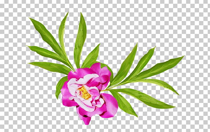 Petal Floral Design Leaf Plant Stem PNG, Clipart, Floral Design, Flower, Flowering Plant, Flowers, Herbaceous Plant Free PNG Download