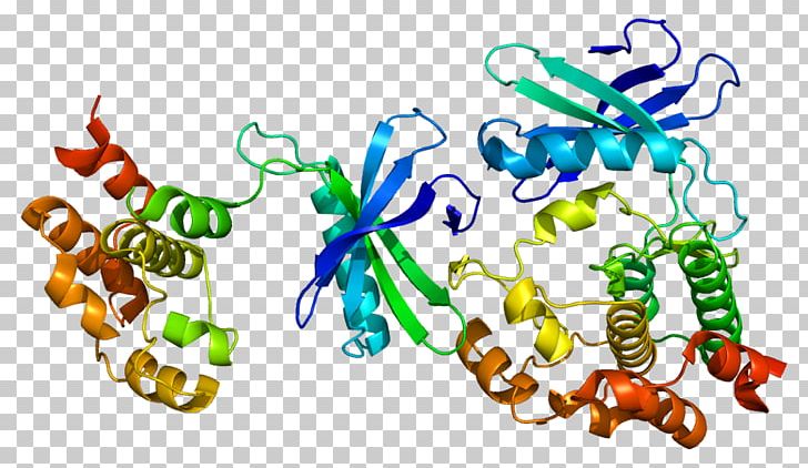 WNK1 Protein Kinase Receptor-mediated Endocytosis PNG, Clipart, Animal Figure, Art, Artwork, Cell, Clathrin Free PNG Download