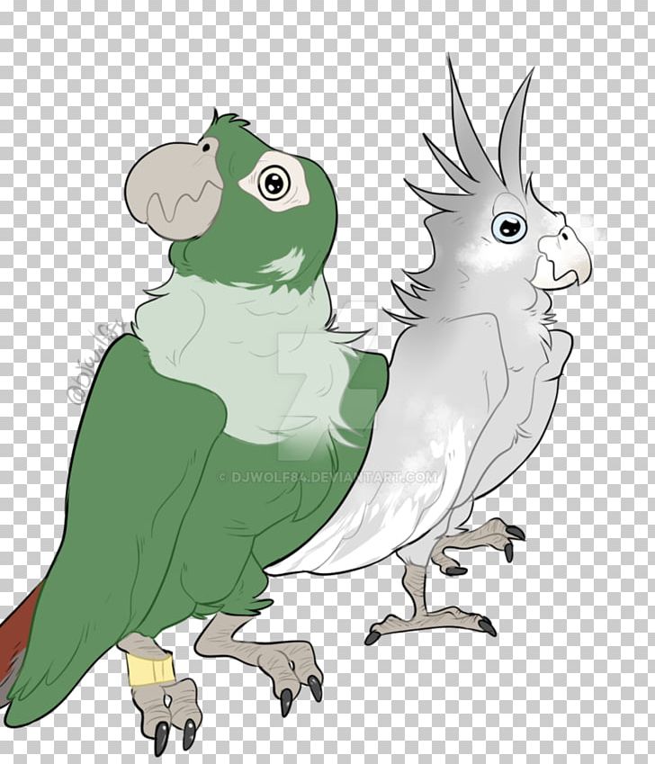Cockatiel Owl Macaw Beak PNG, Clipart, Animals, Art, Beak, Bird, Bird Of Prey Free PNG Download