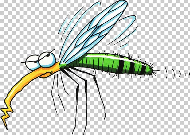 Mosquito Open Free Content Graphics PNG, Clipart, Arthropod, Artwork, Cartoon, Download, Drawing Free PNG Download