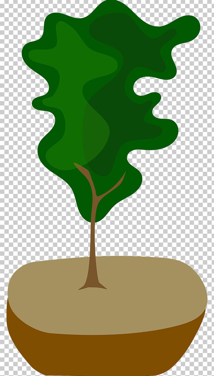 Tree Computer Icons PNG, Clipart, Bonsai, Computer Icons, Download, Evergreen Forest, Flowerpot Free PNG Download