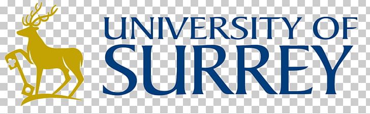 University Of Surrey Royal Holloway PNG, Clipart, Academic Degree, Area, Blue, Brand, Logo Free PNG Download
