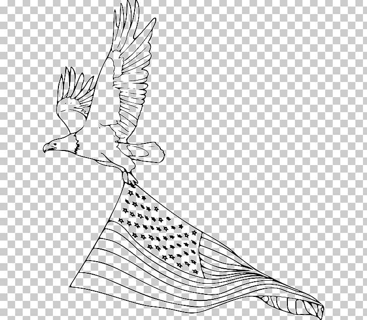 Bald Eagle Coloring Book Drawing Golden Eagle PNG, Clipart, Animal, Animals, Area, Art, Artwork Free PNG Download