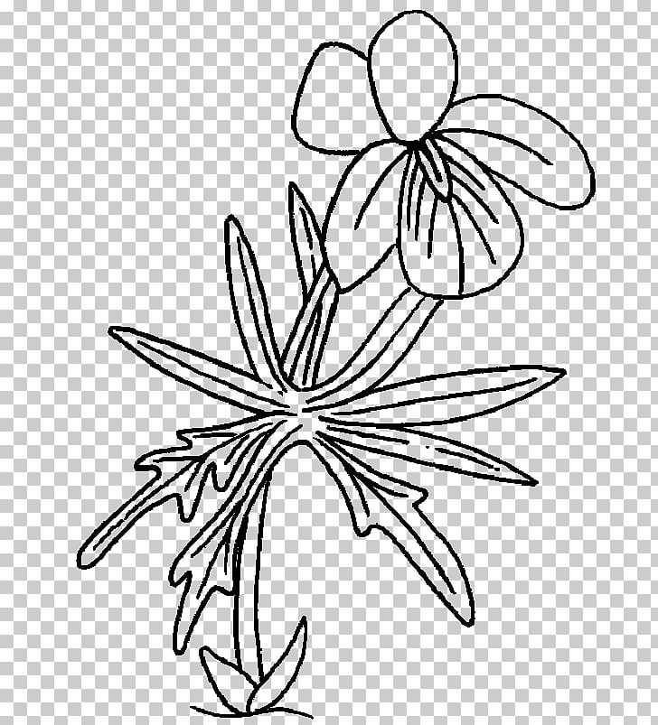 Drawing Floral Design Ludmila Visual Arts Flower PNG, Clipart, Art, Artwork, Black And White, Branch, Drawing Free PNG Download