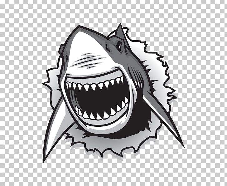 Great White Shark Drawing Graphics PNG, Clipart, Animals, Automotive Design, Black And White, Blue Shark, Brand Free PNG Download