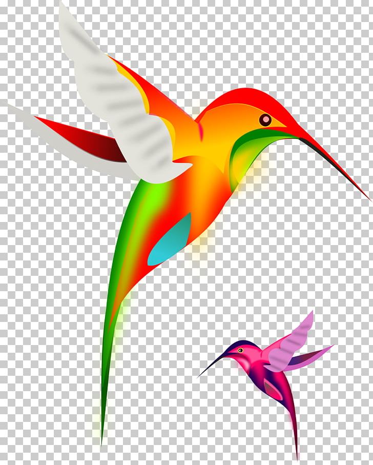 Ruby-throated Hummingbird PNG, Clipart, Animals, Beak, Bird, Birds, Blog Free PNG Download