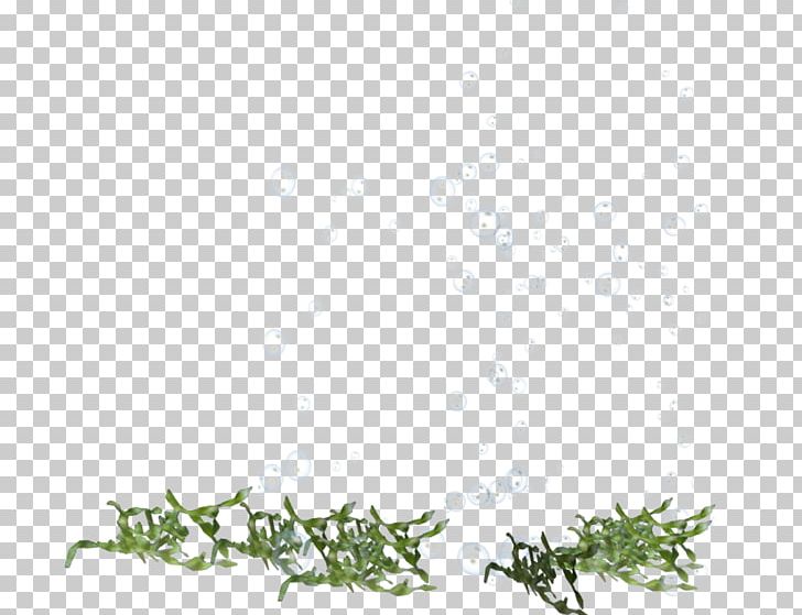 Twig Floral Design Green PNG, Clipart, Area, Art, Black, Black And White, Border Free PNG Download