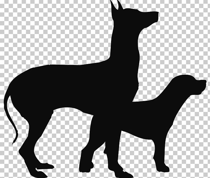 Dog Breed Silhouette Paper Non-sporting Group Black PNG, Clipart, Animals, Birthday, Black, Black And White, Carnivoran Free PNG Download