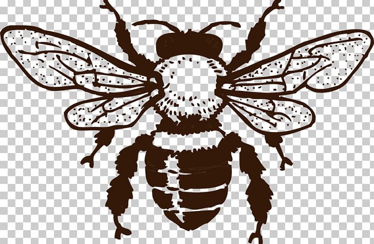 European Dark Bee Insect Queen Bee Honey Bee PNG, Clipart, Ari, Beehive, Brush Footed Butterfly, Fictional Character, Flower Free PNG Download